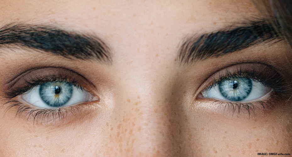 The Best Color Contact Lenses